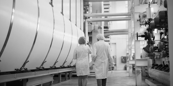 Informes Periciales Miralcamp · Informes Periciales de Ingeniería